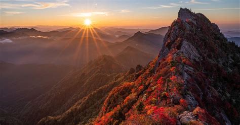 紅葉植物風水|紅葉風水：自然の調和で金運アップ、秋の運気が高ま。